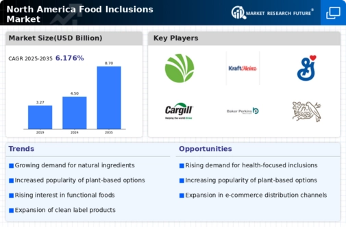 North America Food Inclusions Market Infographic