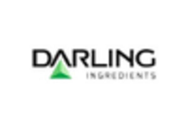 Germany Gelatin Market key player