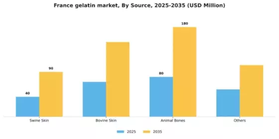 France Gelatin Market Segment Image 1