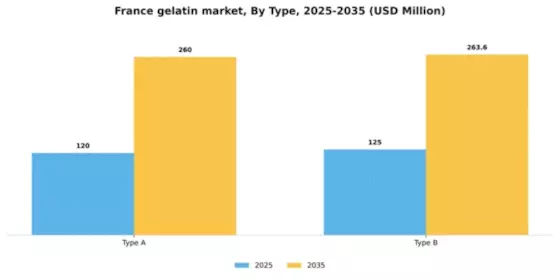 France Gelatin Market Segment Image 2