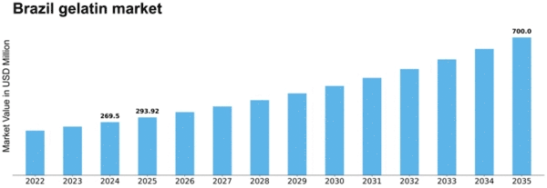 Brazil Gelatin Market Size