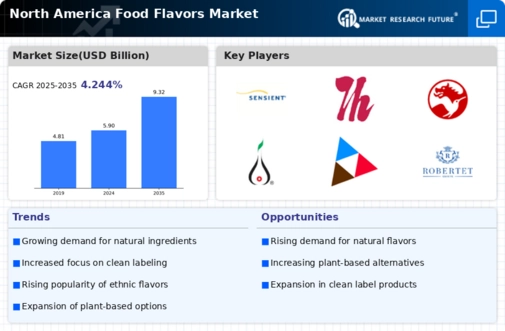 North America Food Flavors Market Infographic