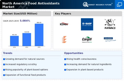 North America Food Antioxidants Market Infographic