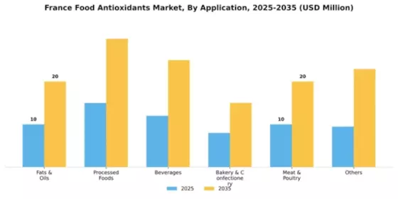 France Food Antioxidants Market Segment Image 0
