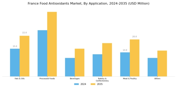 France Food Antioxidants Market Segment Image 0