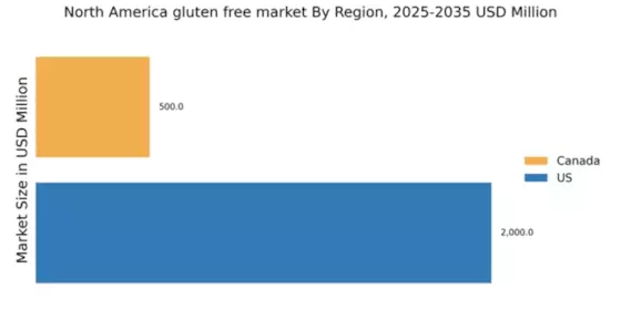 North America Gluten Free Products Market Regional Image