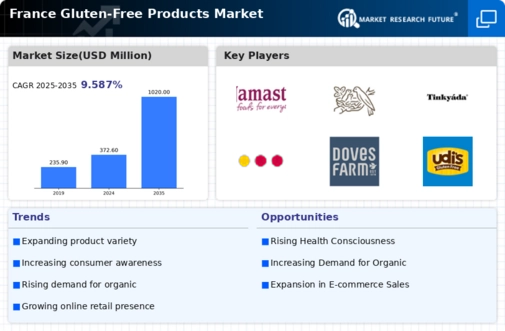 France Gluten Free Products Market Infographic