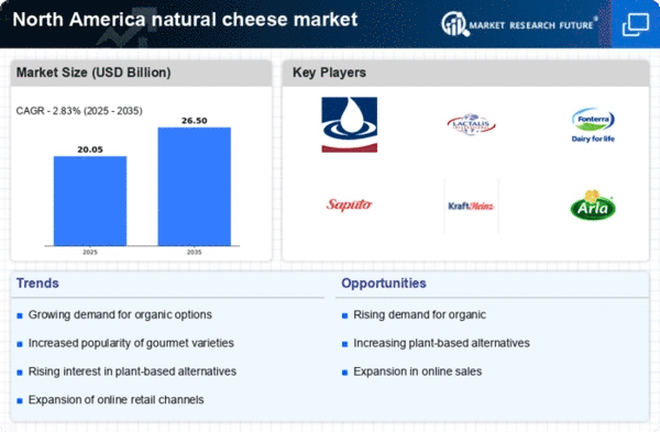 North America Natural Cheese Market Infographic