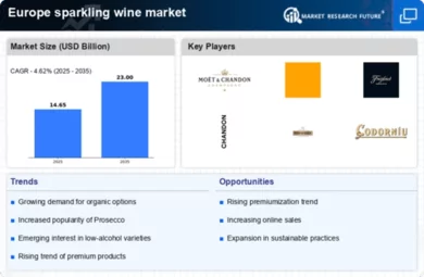Europe Sparkling Wine Market Infographic