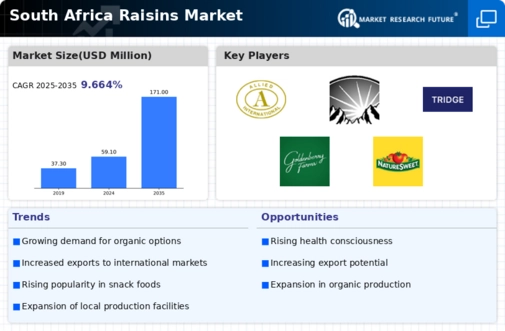 South Africa Raisins Market Infographic