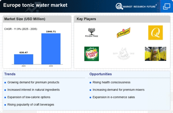 Europe Tonic Water Market Infographic
