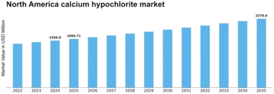 North America Calcium Hypochlorite Market Size