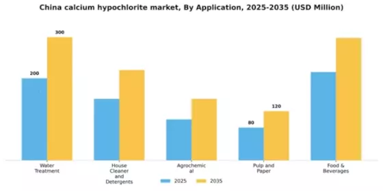 China Calcium Hypochlorite Market Segment Image 0