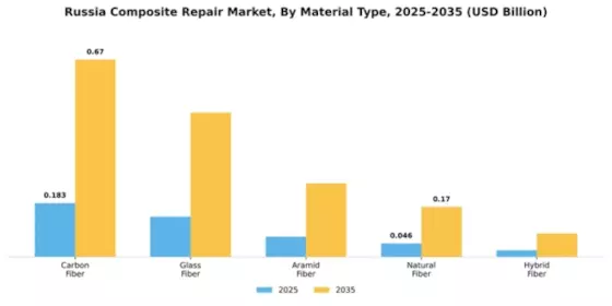 Russia Composite Repair Market Segment Image 2