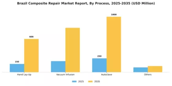 Brazil Composite Repair Market Segment Image 1