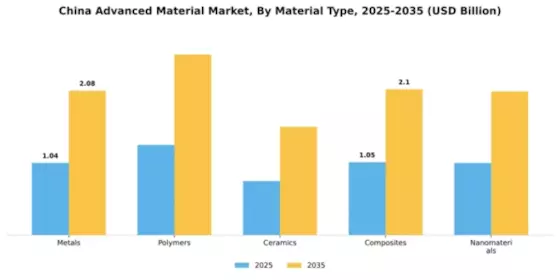 China Advanced Material Market Segment Image 3