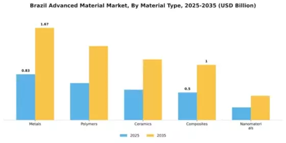 Brazil Advanced Material Market Segment Image 3