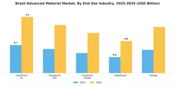 Brazil Advanced Material Market Segment Image 1