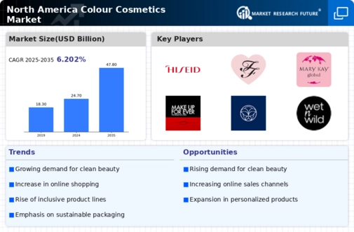North America Colour Cosmetics Market Infographic