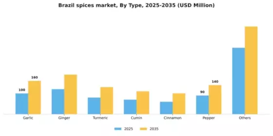 Brazil Spices Market Segment Image 3