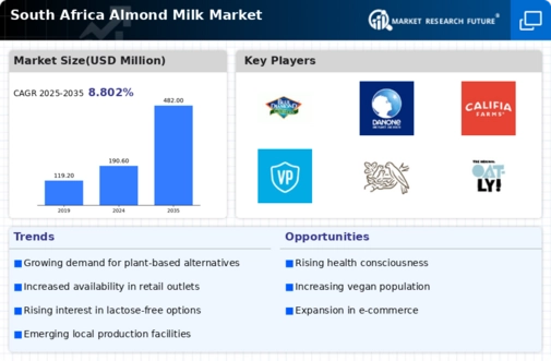 South Africa Almond Milk Market Infographic