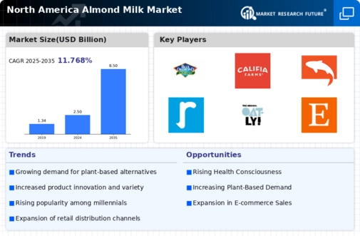 North America Almond Milk Market Infographic