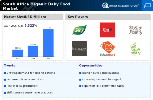 South Africa Organic Baby Food Market Infographic