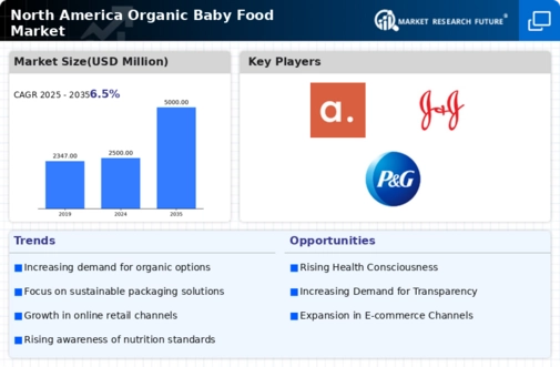 North America Organic Baby Food Market Infographic