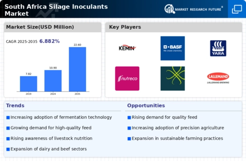 South Africa Silage Inoculants Market Infographic