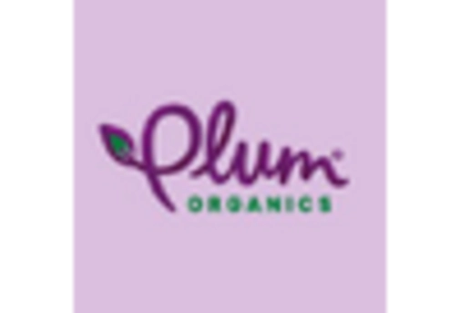 Mexico Organic Baby Food Market key player