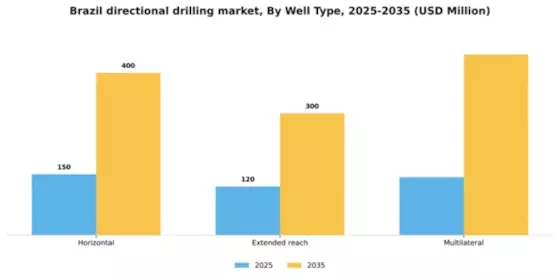 Brazil Directional Drilling Market Segment Image 3