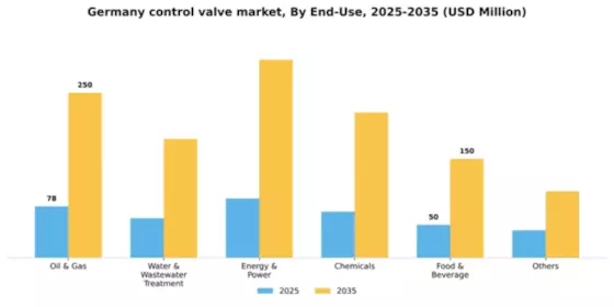 Germany Control Valve Market Segment Image 1