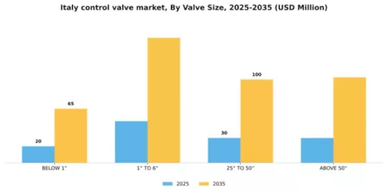 Italy Control Valve Market Segment Image 4