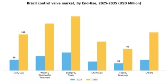 Brazil Control Valve Market Segment Image 1