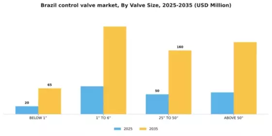 Brazil Control Valve Market Segment Image 4
