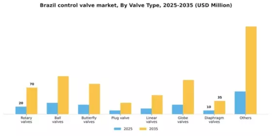 Brazil Control Valve Market Segment Image 5