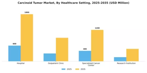 Carcinoid Tumor Market Segment Image 1