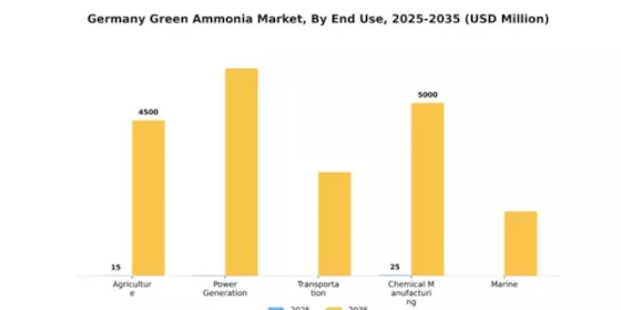 Germany Green Ammonia Market Segment Image 1