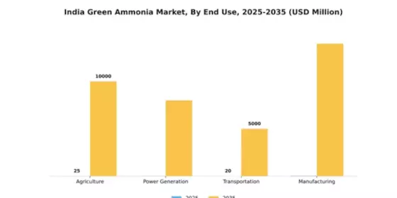 India Green Ammonia Market Segment Image 2