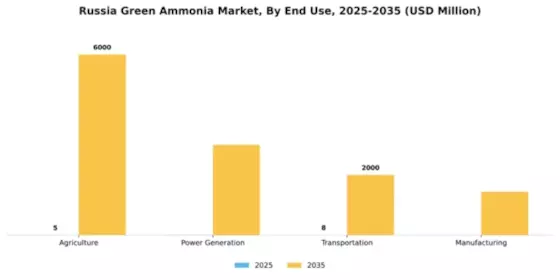 Russia Green Ammonia Market Segment Image 2