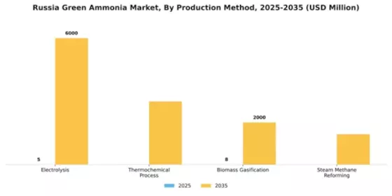 Russia Green Ammonia Market Segment Image 3