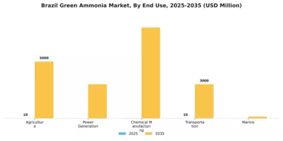 Brazil Green Ammonia Market Segment Image 2