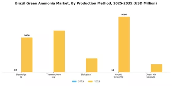 Brazil Green Ammonia Market Segment Image 3