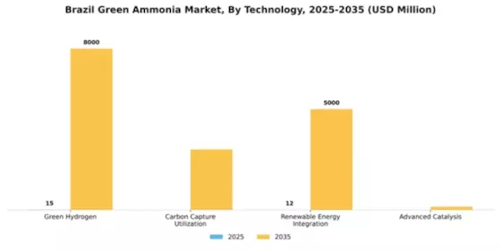 Brazil Green Ammonia Market Segment Image 4