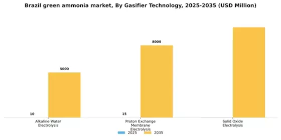 Brazil Green Ammonia Market Segment Image 1