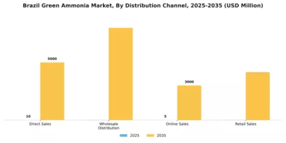 Brazil Green Ammonia Market Segment Image 1