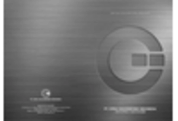 Japan Hot Dip Galvanizing Market key player