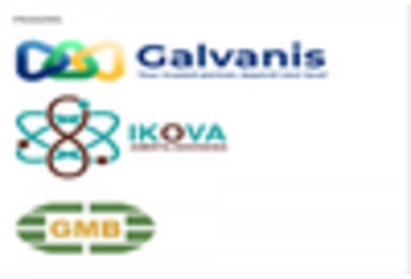 Japan Hot Dip Galvanizing Market key player