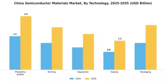 China Semiconductor Materials Market Segment Image 4