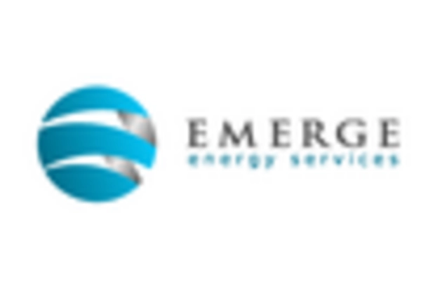 India Silica Sand Market key player